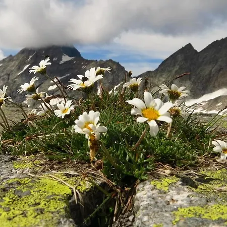 Gaestehaus Floerl Apartamento *