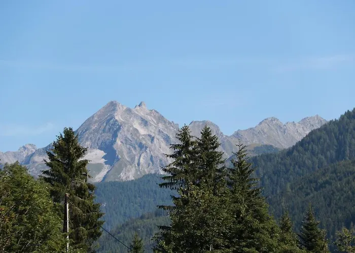 公寓 福乐尔宾馆