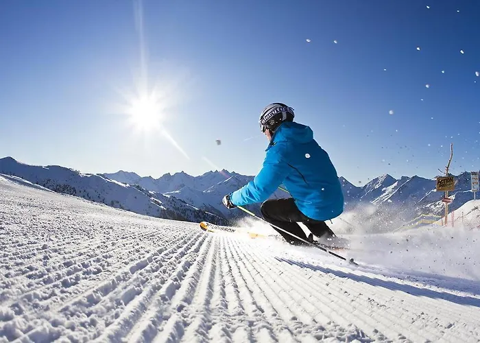 福乐尔宾馆 公寓 *