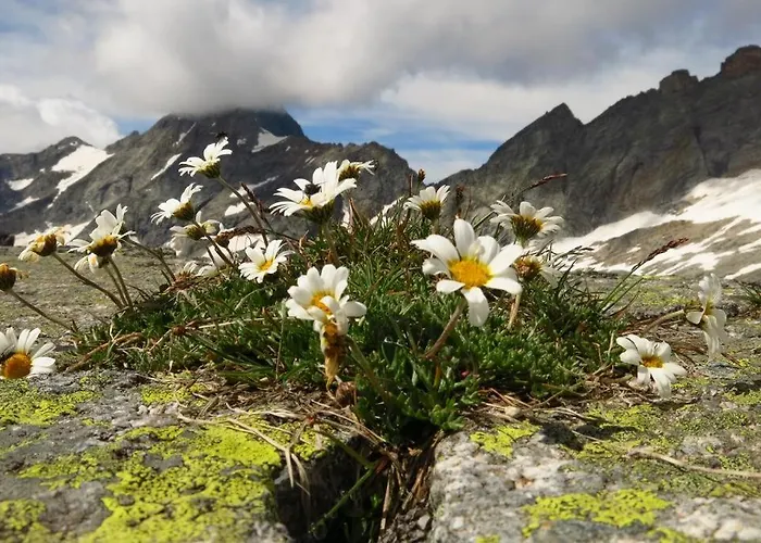 福乐尔宾馆 公寓 *