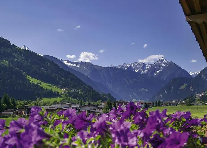 福乐尔宾馆 * 格尔洛斯贝格