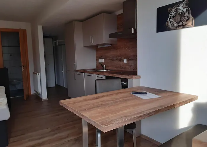 公寓 福乐尔宾馆