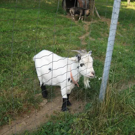 Gaestehaus Floerl Appartement